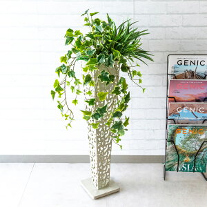  X^h AW H90cm JX J ړ] j  t[  Mtg v[g AWg tFCN X ZW fnEX ze [jD] ʔNyPA461-IR72WH 