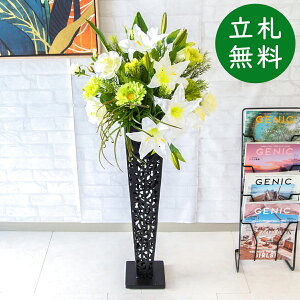  X^h AW H110cm JX J ړ] j  t[  Mtg v[g AWg tFCN X ZW fnEX ze [jD] ʔNyPA496-IR72BK 