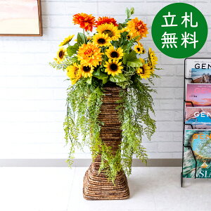  X^h AW H95cm JX J ړ] j  t[  Mtg v[g AWg tFCN X ZW fnEX ze [jD] đyPA501-BSK60BR