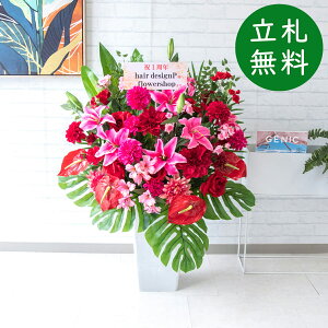  AWg H110cm JX J ړ] j  t[  Mtg v[g AWg tFCN X ZW fnEX ze [jD] ~bNXyPA568-Q25WH 