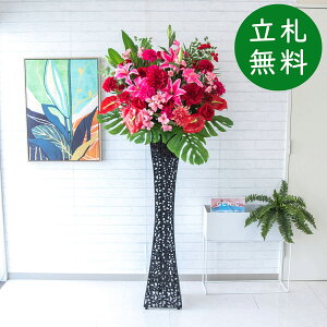  X^h AW H185cm JX J ړ] j  t[  AWg tFCN X ZW fnEX ze [jD] ^ ~bNXyPA568-SQIR120 ԃX^