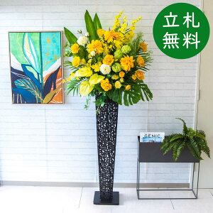  X^h AW H185cm JX J ړ] j  t[  AWg tFCN X ZW fnEX ze [jD] ^ ~bNXyPA570-IR120BK ԃX^