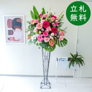  X^h AW H185cm JX J ړ] j  t[  AWg tFCN X ZW fnEX ze [jD] ^ ~bNXyPA571-BIR120 ԃX^