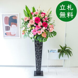  X^h AW H185cm JX J ړ] j  t[  AWg tFCN X ZW fnEX ze [jD] ^ ~bNXyPA571-IR120BK ԃX^