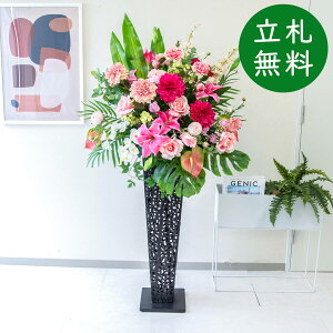  X^h AW H155cm JX J ړ] j  t[  AWg tFCN X ZW fnEX ze [jD] ^ ~bNXyPA571-IR90BK ԃX^