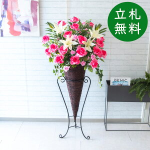  X^h AW H145cm JX J ړ] j  t[  Mtg v[g AWg tFCN X ZW fnEX ze [jD] ^ ʔNyPA593-CO