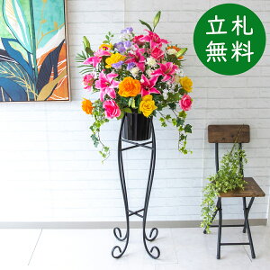  X^h AW H140cm JX J ړ] j  t[  Mtg v[g AWg tFCN X ZW fnEX ze [jD] ^ ʔNyPA596-SE