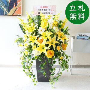  AWg H105cm JX J ړ] j  t[  Mtg v[g AWg tFCN X ZW fnEX ze [jD] ^ ʔNyPA599-Q25BK 