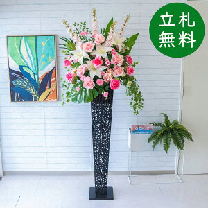  X^h AW H190cm JX J ړ] j  t[  AWg tFCN X ZW fnEX ze [jD] ^ ʔNyPA601-IR120BK ԃX^h