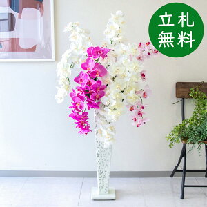  X^h AW H125cm JX J ړ] j  t[  Mtg v[g AWg tFCN X ZW fnEX ze [jD] ʔNyPA629-IR72WH 