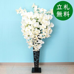  X^h AW H125cm JX J ړ] j  t[  Mtg v[g AWg tFCN X ZW fnEX ze [jD] ʔNyPA630-IR72BK 