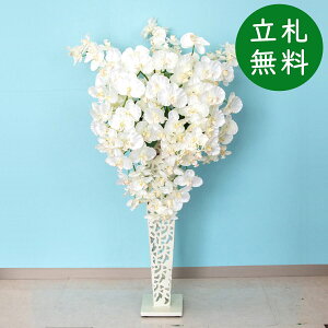  X^h AW H125cm JX J ړ] j  t[  Mtg v[g AWg tFCN X ZW fnEX ze [jD] ʔNyPA630-IR72WH 