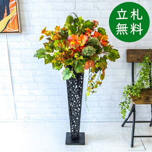  X^h AW H105cm JX J ړ] j  t[  Mtg v[g AWg tFCN X ZW fnEX ze [jD] HyPA646-IR72BK