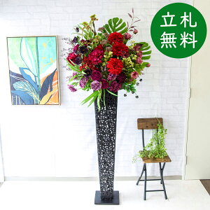  X^h AW H180cm JX J ړ] j  t[  Mtg v[g AWg tFCN X ZW fnEX ze [jD] ^ ʔNyPA655-IR