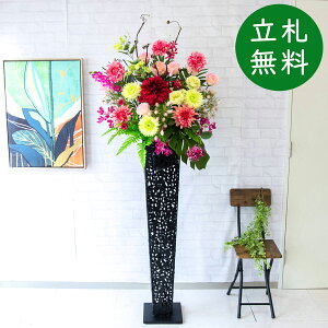  X^h AW H190cm JX J ړ] j  t[  AWg tFCN X ZW fnEX ze [jD] ^ ~bNXyPA670-IR120BK ԃX^