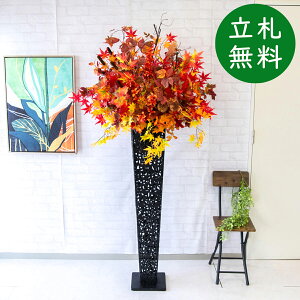  X^h AW H185cm JX J ړ] j  t[  AWg tFCN X ZW fnEX ze [jD] ^ HyPA675-IR120BK ԃX^