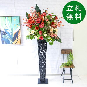  X^h AW H190cm JX J ړ] j  t[  AWg tFCN X ZW fnEX ze [jD] ^ ~bNXyPA680-IR120BK ԃX^