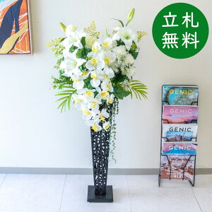  X^h AW H120cm JX J ړ] j  t[  Mtg v[g AWg tFCN X ZW fnEX ze [jD] ʔNyPA696-IR72BK 