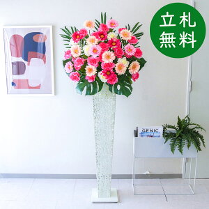  X^h AW H175cm JX J ړ] j  t[  AWg tFCN X ZW fnEX ze [jD] ^ ʔNyPA698-IR120WH ԃX^h