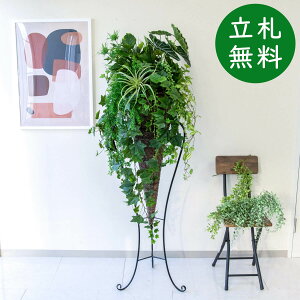  X^h AW H180cm JX J ړ] j  t[  Mtg v[g AWg tFCN X ZW fnEX ze [jD] ʔNyPA703-CON120DB 