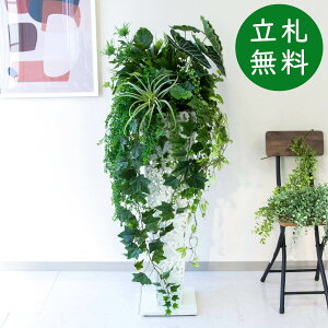  X^h AW H130cm JX J ړ] j  t[  Mtg v[g AWg tFCN X ZW fnEX ze [jD] ʔNyPA703-IR90WH 