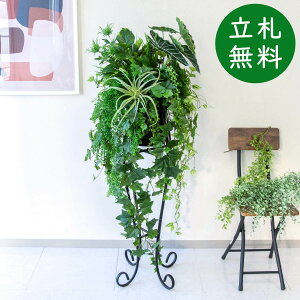  X^h AW H130cm JX J ړ] j  t[  Mtg v[g AWg tFCN X ZW fnEX ze [jD] ʔNyPA703-SEN90 