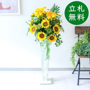  X^h AW H115cm JX J ړ] j  t[  Mtg v[g AWg tFCN X ZW fnEX ze [jD] đyPA709-IR72WH