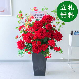  AWg H110cm JX J ړ] j  t[  Mtg v[g AWg tFCN X ZW fnEX ze [jD] ^ ʔNyPA724-Q25BK 