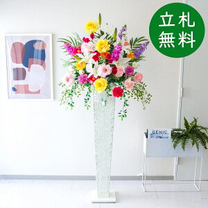  X^h AW H180cm JX J ړ] j  t[  AWg tFCN X ZW fnEX ze [jD] ^ ʔNyPA726-IR120WH ԃX^h