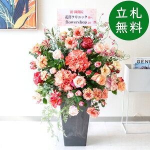  AWg H105cm JX J ړ] j  t[  Mtg v[g AWg tFCN X ZW fnEX ze [jD] ~bNXyPA727-Q25BK 