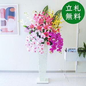  X^h AW H155cm JX J ړ] j  t[  Mtg v[g AWg tFCN X ZW fnEX ze [jD] ^ ʔNyPA728-IR