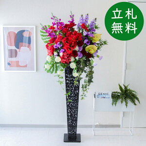  X^h AW H185cm JX J ړ] j  t[  AWg tFCN X ZW fnEX ze [jD] ^ ~bNXyPA729-IR120BK ԃX^