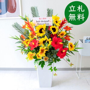  AWg H110cm JX J ړ] j  t[  Mtg v[g AWg tFCN X ZW fnEX ze [jD] đyPA749-Q25WH 