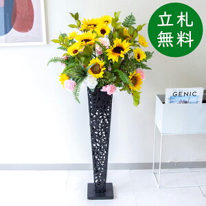  X^h AW H115cm JX J ړ] j  t[  Mtg v[g AWg tFCN X ZW fnEX ze [jD] đyPA750-IR72BK