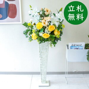  X^h AW H120cm JX J ړ] j  t[  Mtg v[g AWg tFCN X ZW fnEX ze [jD] ʔNyPA754-IR72WH 