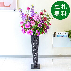  X^h AW H115cm JX J ړ] j  t[  Mtg v[g AWg tFCN X ZW fnEX ze [jD] ~bNXyPA771-IR7