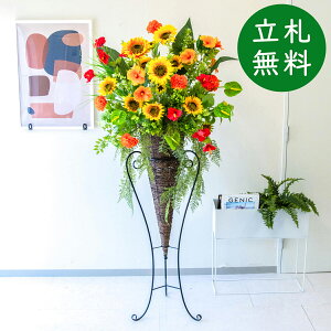  X^h AW H180cm JX J ړ] j  t[  Mtg v[g AWg tFCN X ZW fnEX ze [jD] ^ đyPA778