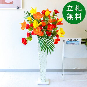  X^h AW H110cm JX J ړ] j  t[  Mtg v[g AWg tFCN X ZW fnEX ze [jD] đyPA781-IR72WH