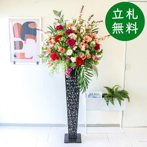  X^h AW H190cm JX J ړ] j  t[  AWg tFCN X ZW fnEX ze [jD] ^ ~bNXyPA782-IR120BK ԃX^