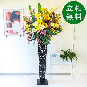  X^h AW H190cm JX J ړ] j  t[  AWg tFCN X ZW fnEX ze [jD] ^ đyPA783-IR120BK ԃX^