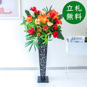  X^h AW H110cm JX J ړ] j  t[  Mtg v[g AWg tFCN X ZW fnEX ze [jD] đyPA800-IR72BK