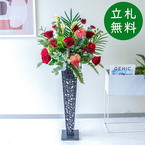  X^h AW H120cm JX J ړ] j  t[  Mtg v[g AWg tFCN X ZW fnEX ze [jD] ʔNyPA808-IR72BK 