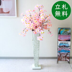  X^h AW H115cm JX J ړ] j  t[  Mtg v[g AWg tFCN X ZW fnEX ze [jD] tyPA823-IR72WH