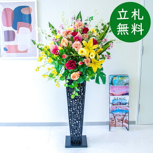  X^h AW H150cm JX J ړ] j  t[  Mtg v[g AWg tFCN X ZW fnEX ze [jD] ~bNXyPA827-IR9