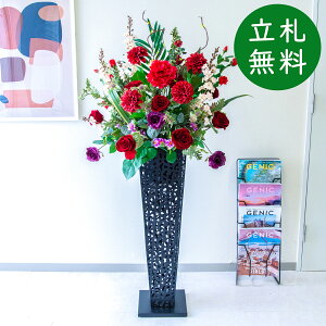  X^h AW H150cm JX J ړ] j  t[  Mtg v[g AWg tFCN X ZW fnEX ze [jD] ~bNXyPA830-IR9