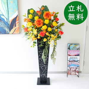  X^h AW H145cm JX J ړ] j  t[  Mtg v[g AWg tFCN X ZW fnEX ze [jD] ~bNXyPA833-IR9