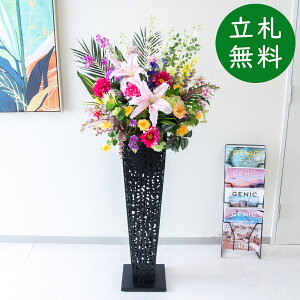  X^h AW H140cm JX J ړ] j  t[  Mtg v[g AWg tFCN X ZW fnEX ze [jD] ʔNyPA835-IR90BK 