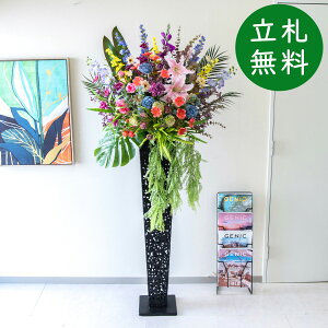  X^h AW H185cm JX J ړ] j  t[  AWg tFCN X ZW fnEX ze [jD] ~bNXyPA841-IR120BK ԃX^hA