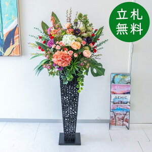  X^h AW H145cm JX J ړ] j  t[  Mtg v[g AWg tFCN X ZW fnEX ze [jD] ~bNXyPA847-IR9