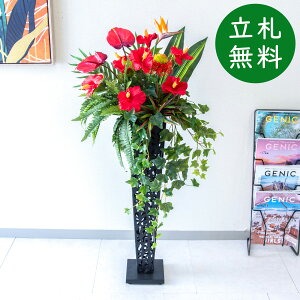  X^h AW H110cm JX J ړ] j  t[  AWg tFCN X ZW fnEX ze [jD] đyPA848-IR72BK ԃX^hA